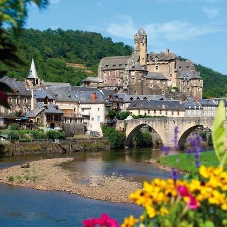 T 2 Dans Village Vacances 3 *** A Saint Geniez 2 Piscines Chauffee Pierrefiche  外观 照片