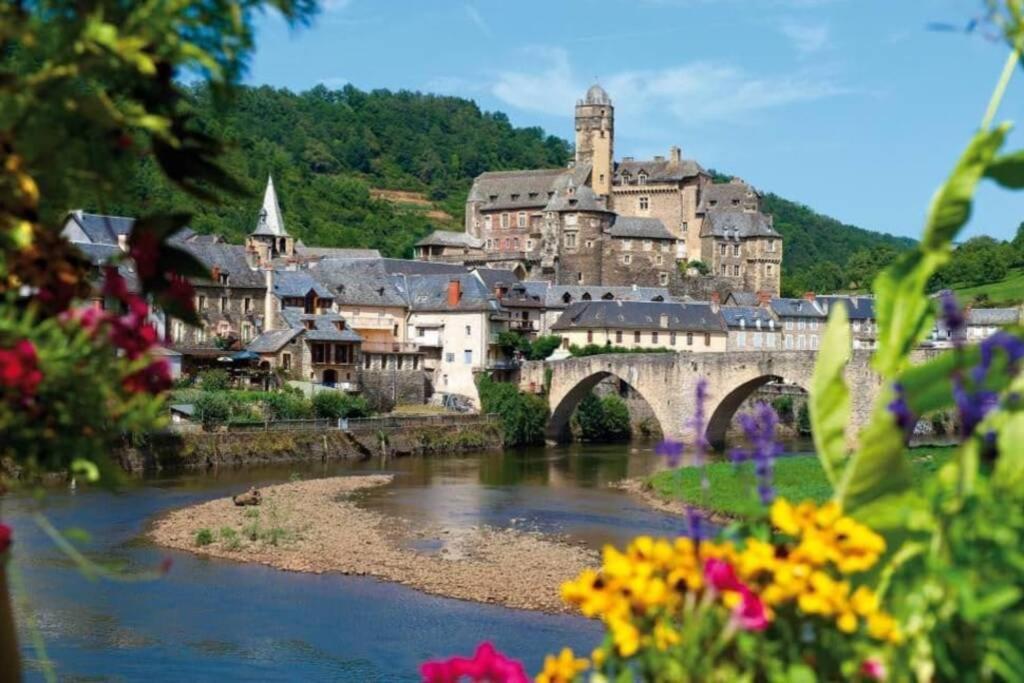 T 2 Dans Village Vacances 3 *** A Saint Geniez 2 Piscines Chauffee Pierrefiche  外观 照片