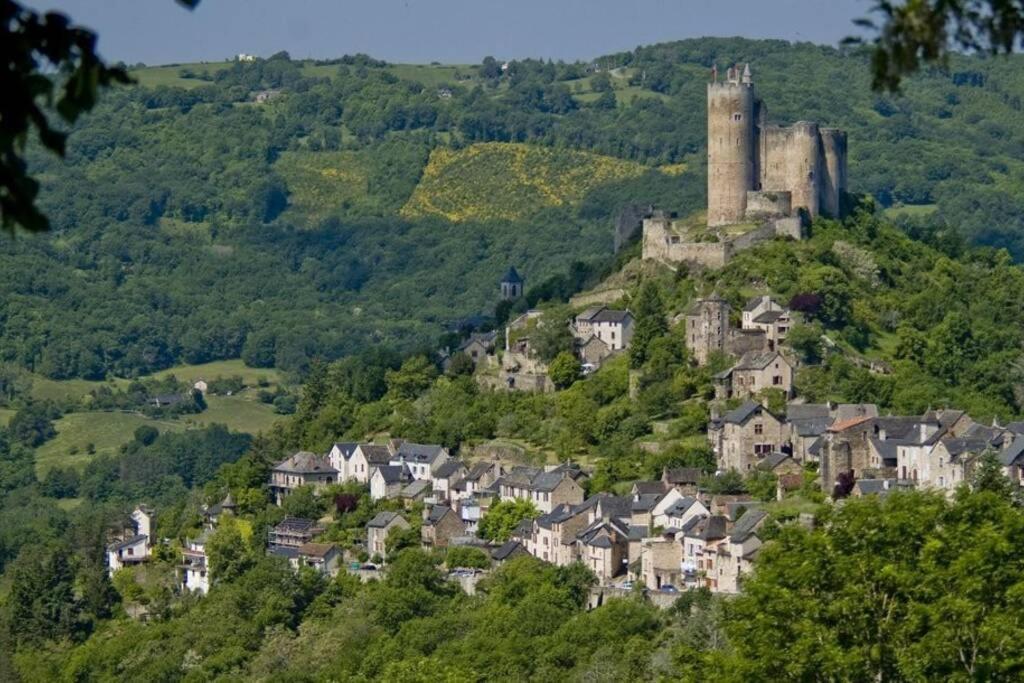 T 2 Dans Village Vacances 3 *** A Saint Geniez 2 Piscines Chauffee Pierrefiche  外观 照片